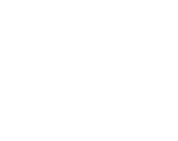 White Bear Hounslow Logo White